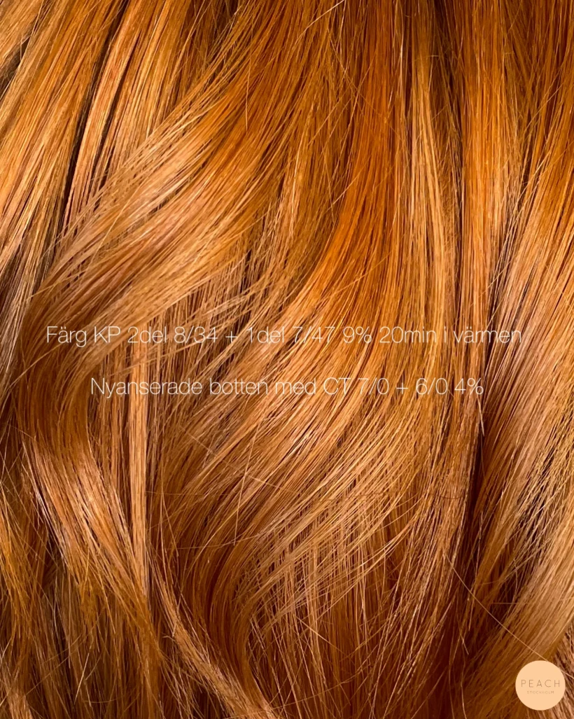 Copper hair color ✨🍊