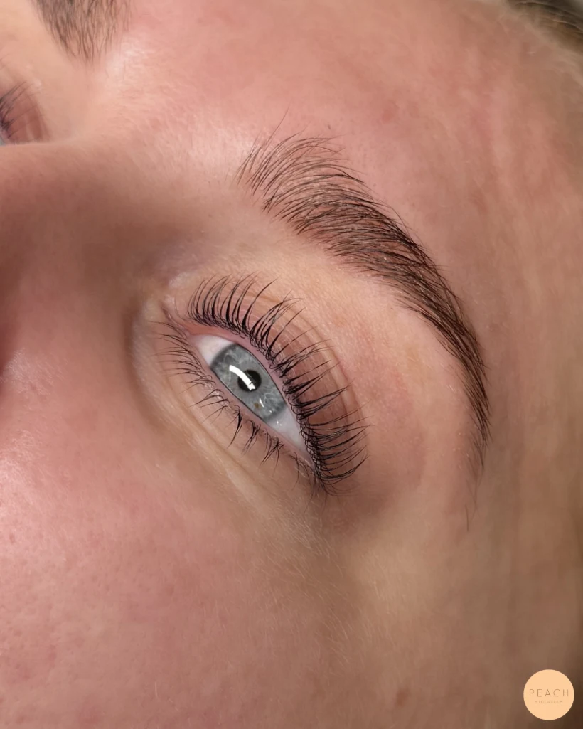 Lashlift Stockholm Östermalm – inspiration 4 december 2024