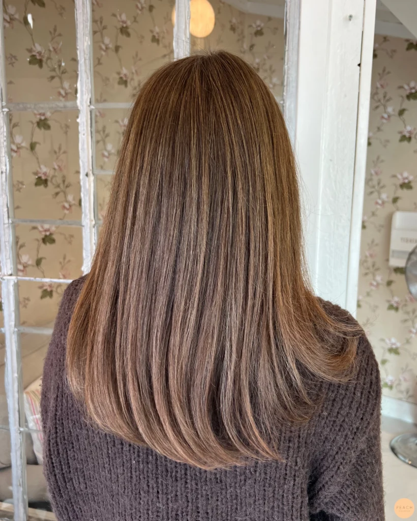 Bronde highlights ✨