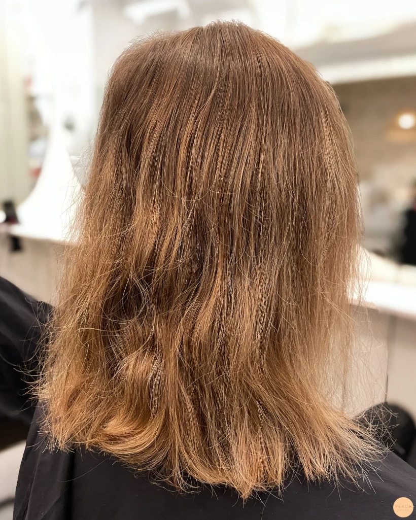 Teddy bear bronde hair