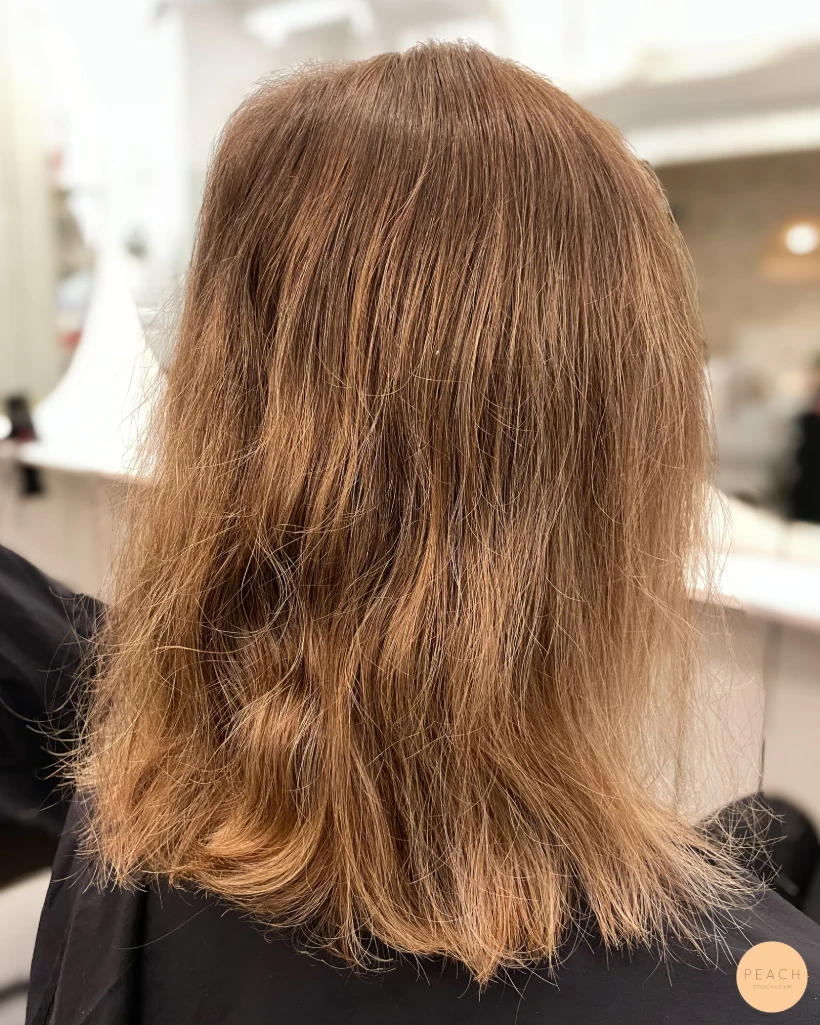 Teddy bear bronde hair