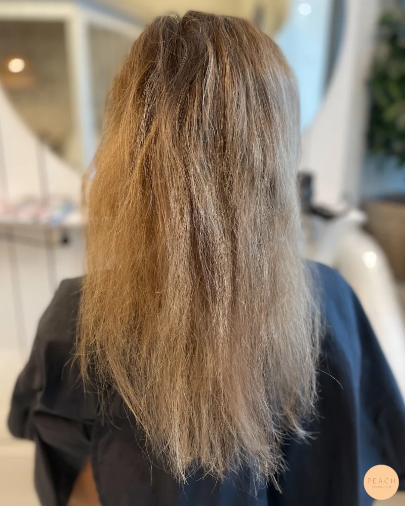 Caramel ✨ Bronde