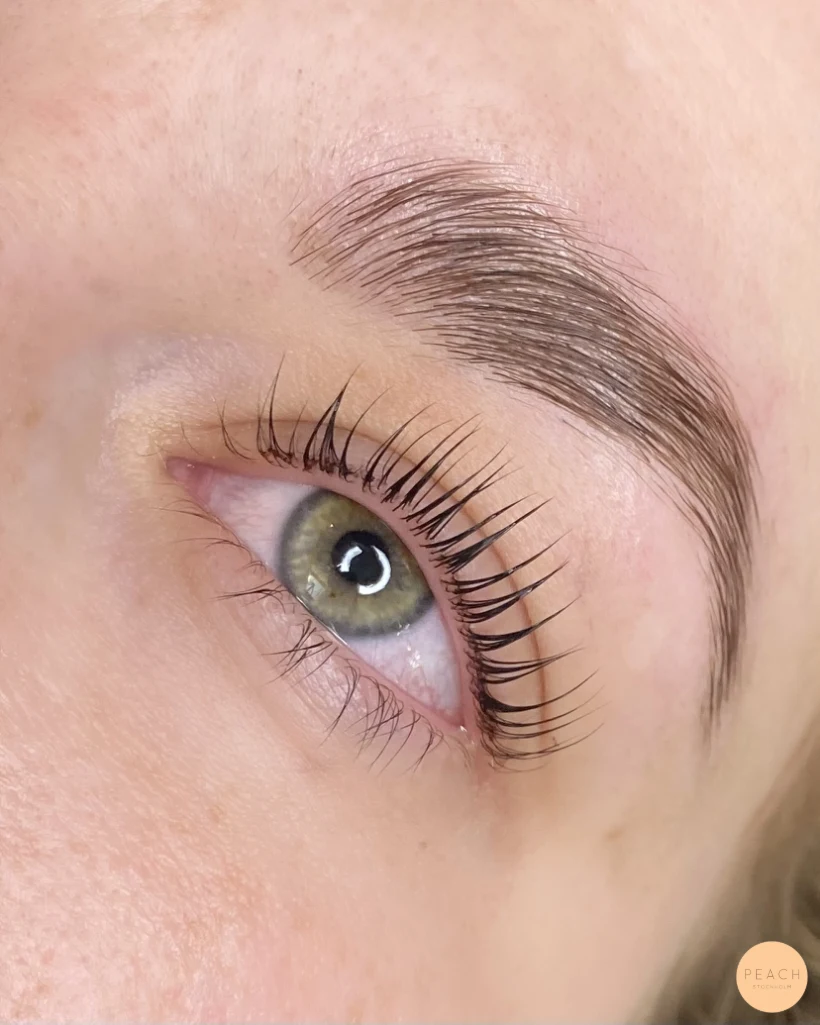 LASHLIFT & BROWLIFT – salongsresultat av Amanda Da Silva, 1 november 2023