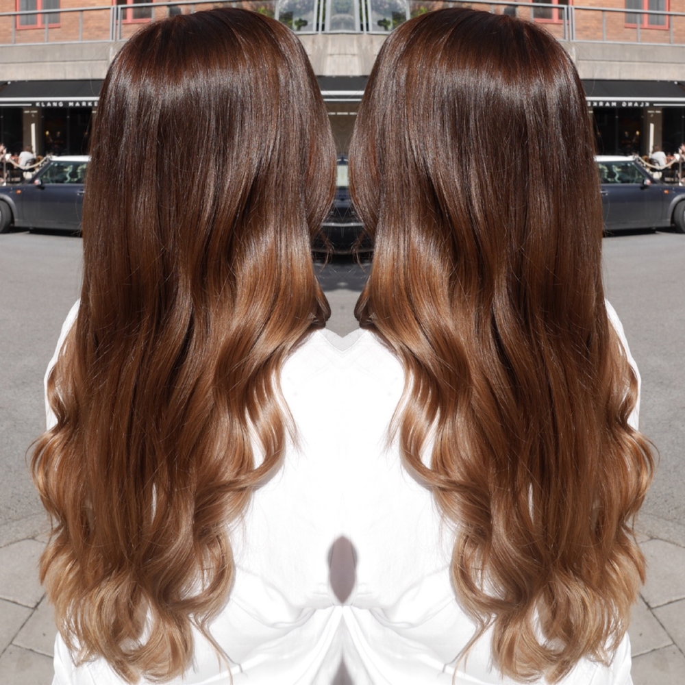 Bronde sombre med chokladbrun botten