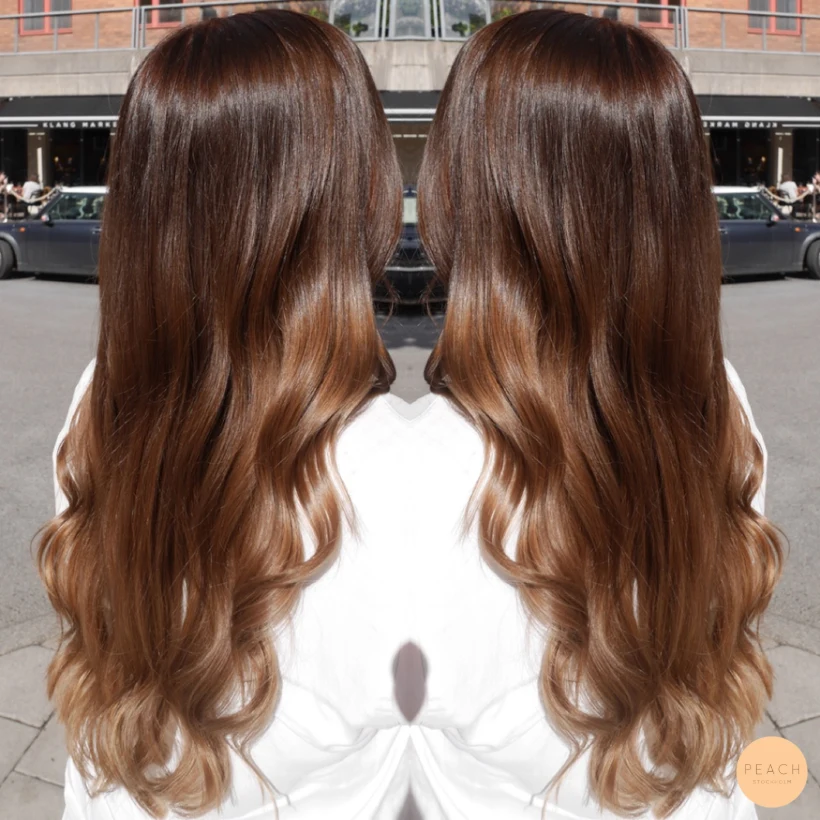 Bronde sombre med chokladbrun botten
