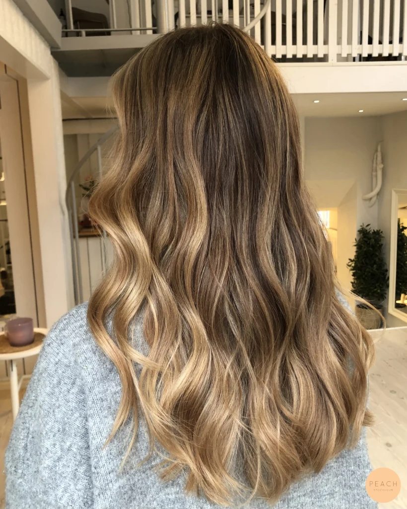 Vinter Bronde