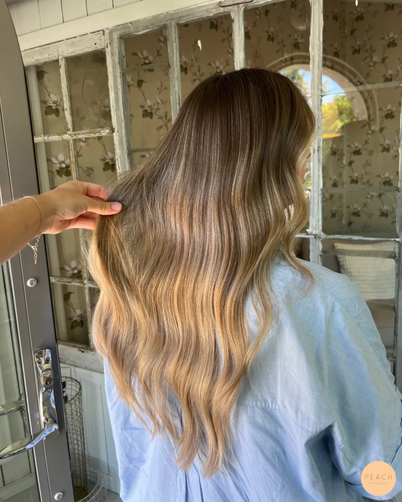 Natural balayage hair color 🦋✨
