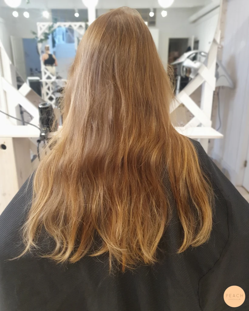 Velvet brown
