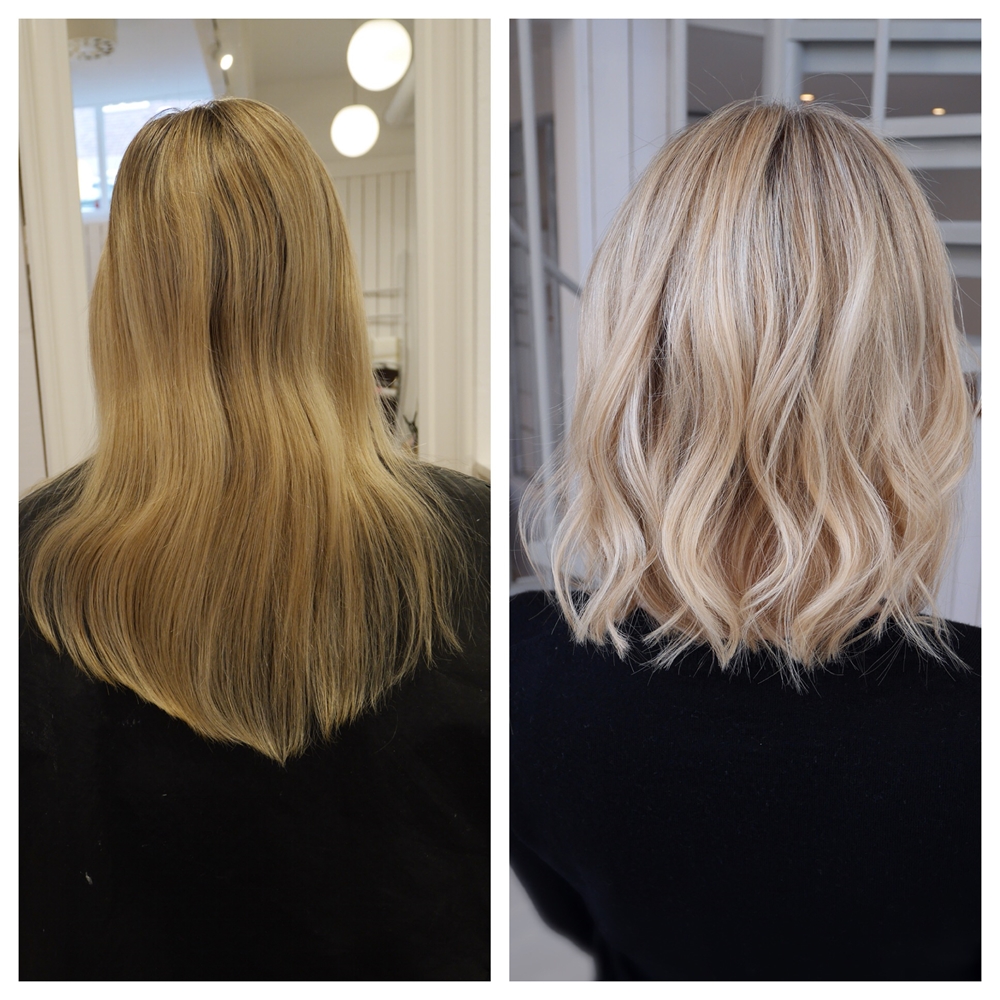 Highlights och lob