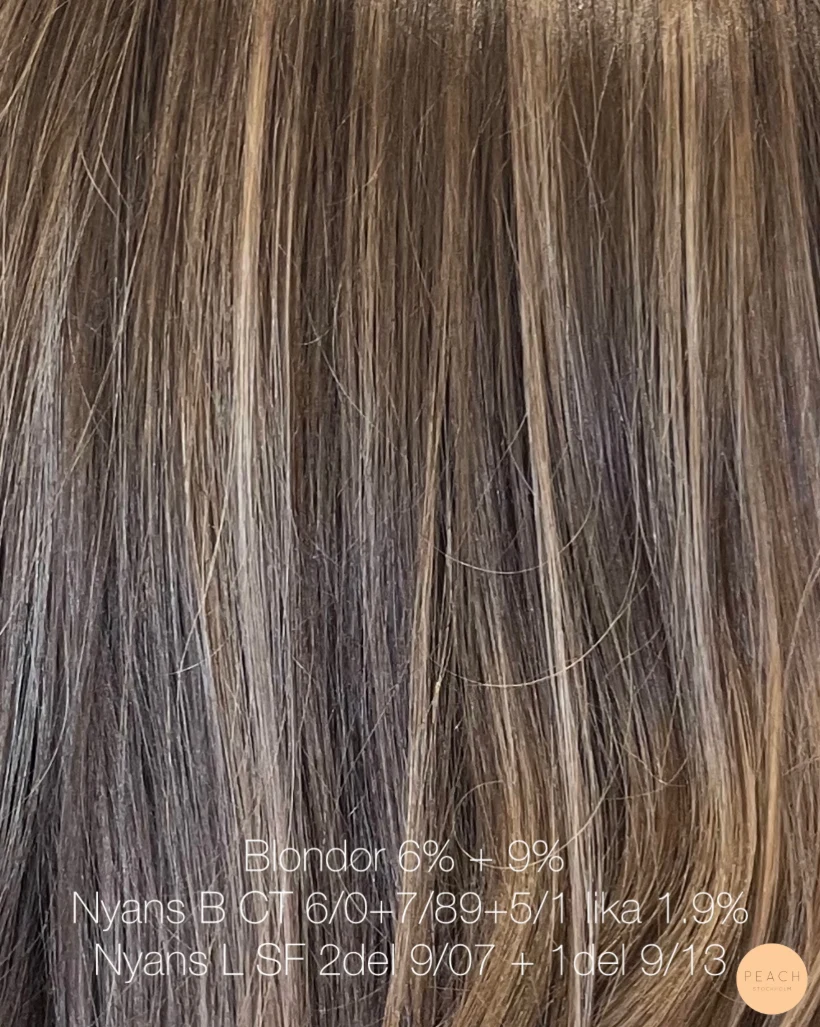 Balayage slingor – salongsresultat av Hanna Ekstrand, 27 juni 2024