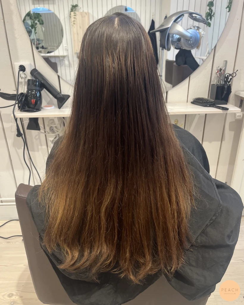 Warm brown hair🤎