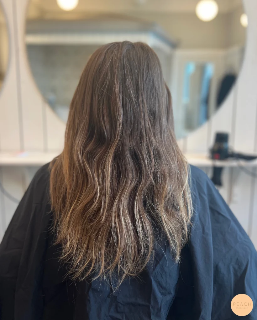 Bronde highlights ✨