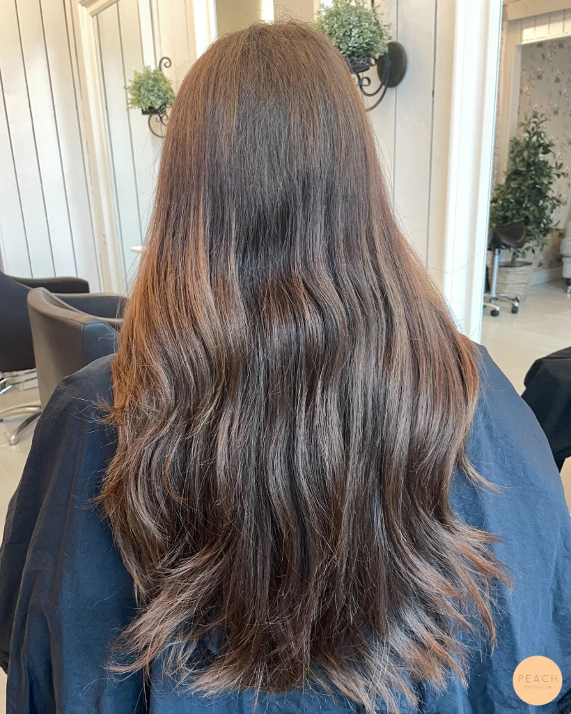 Chocolate brown hair