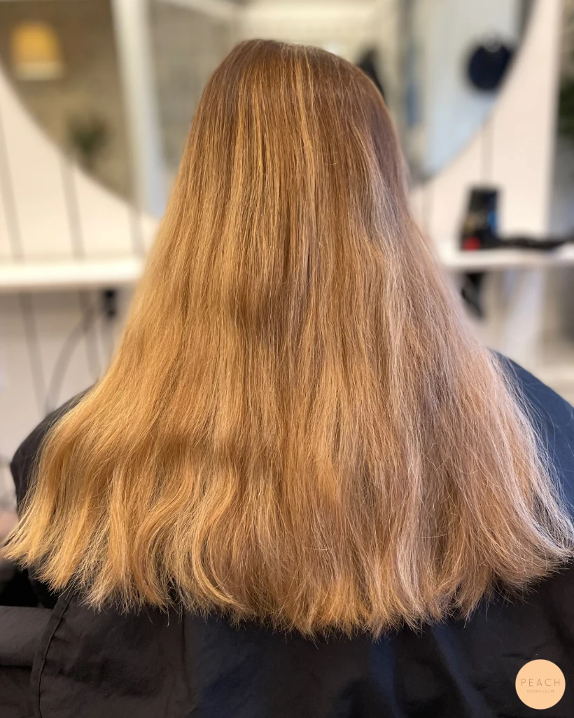 Från balayage till brunt hår med ljusa slingor ✨🤎