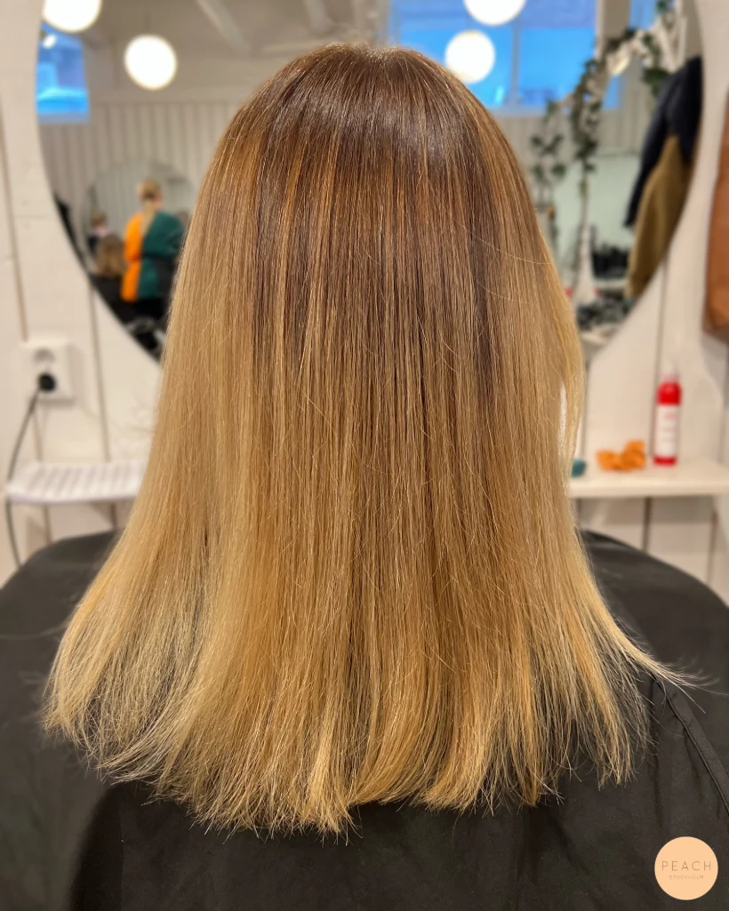 Balayage med Hairtalk förlängning