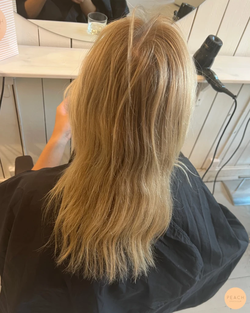 Vanilla blonde dream hair color🌼