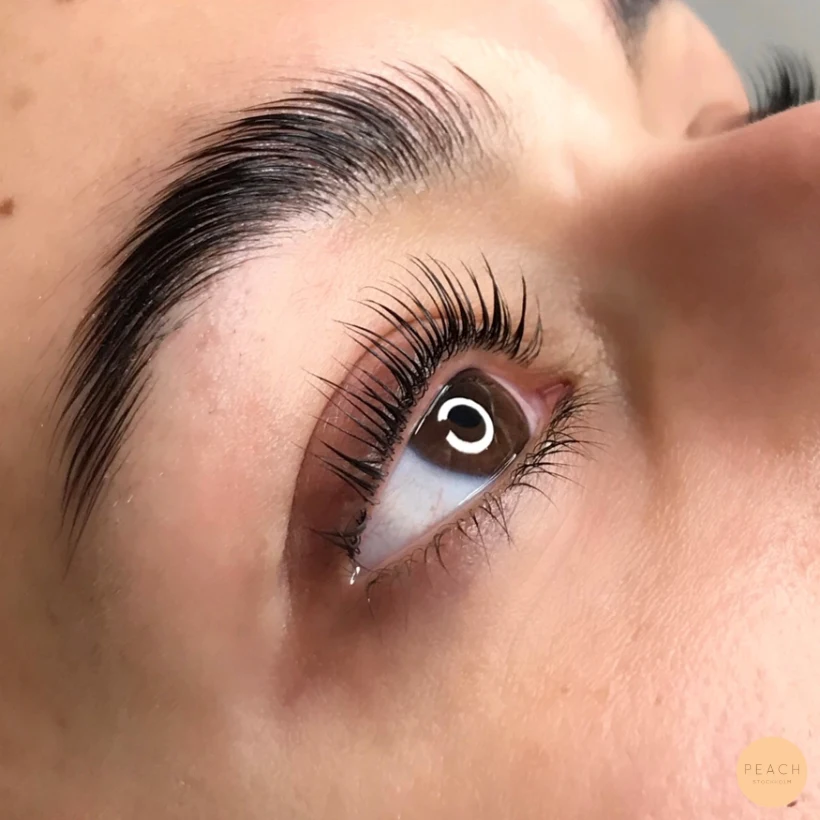 YUMI lashes & YUMI brows
