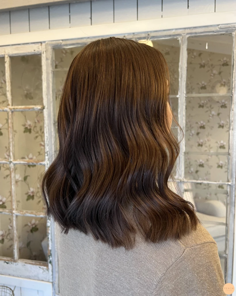 Brown hair with highlights