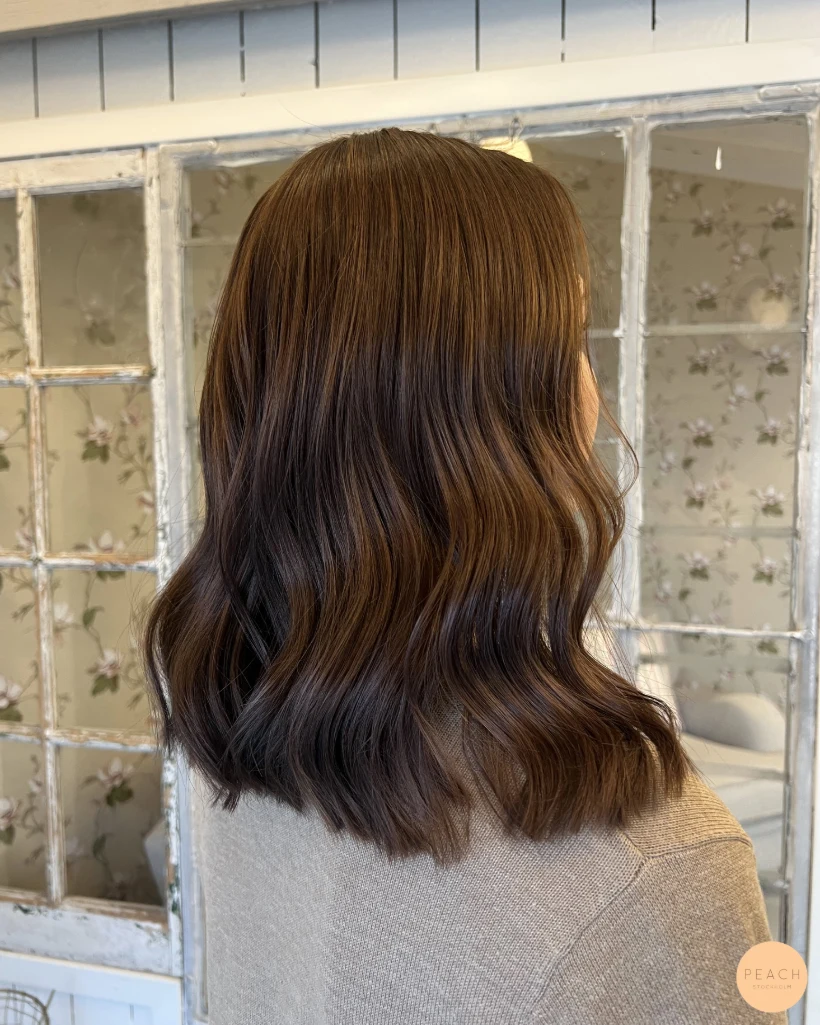 Brown hair with highlights