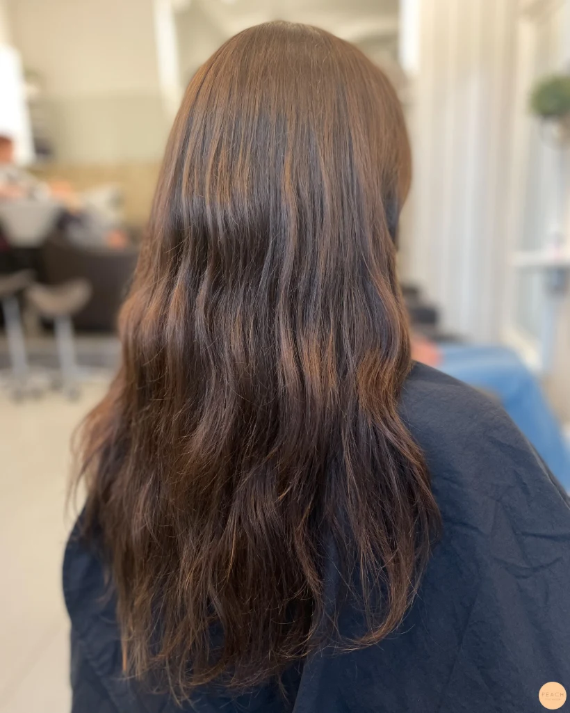 Ifrån Solblekt hår 💫 Till mustig brun nyans