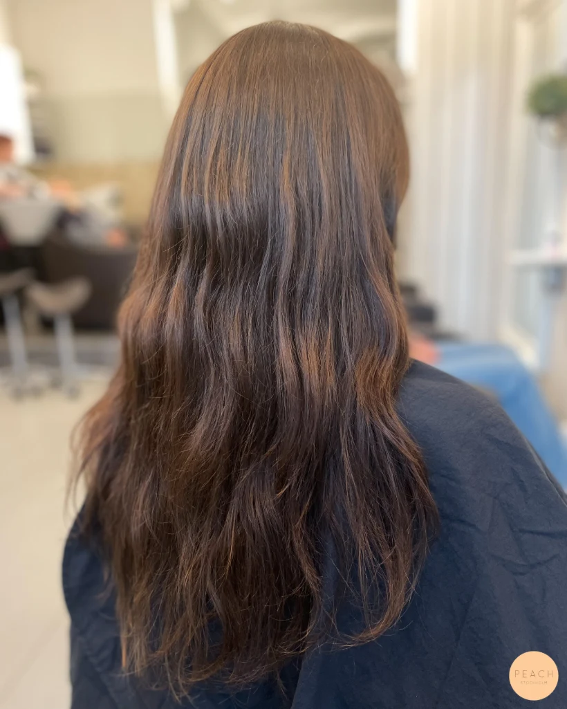 Ifrån Solblekt hår 💫 Till mustig brun nyans
