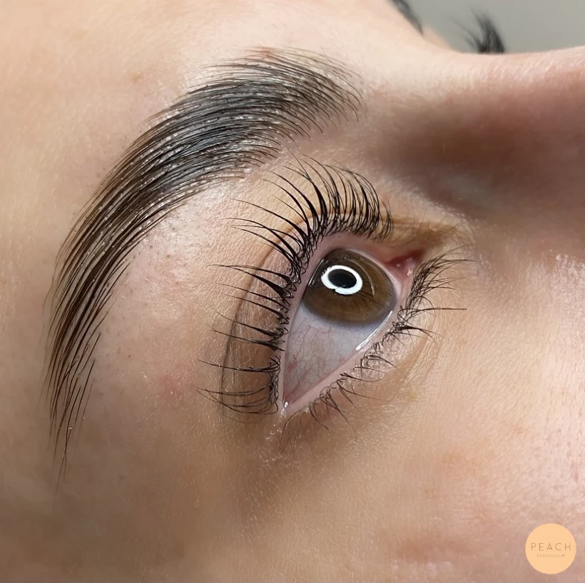Yumi keratin lashlift & browlift – inspiration 12 november 2021