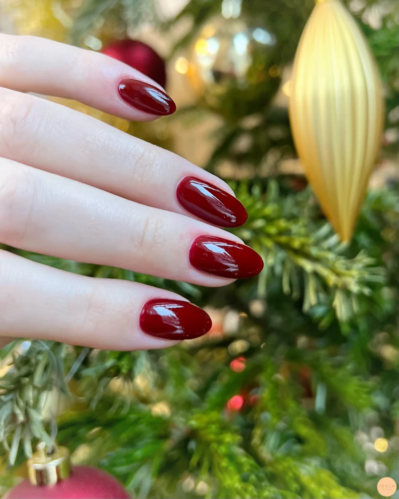 Julnaglar 🤶🎄