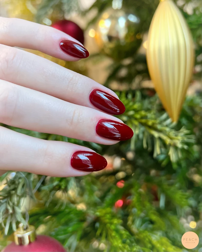 Julnaglar 🤶🎄