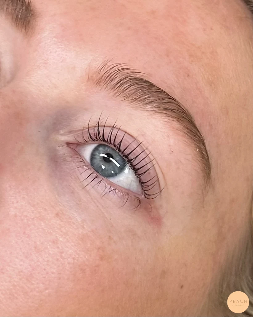 Lashlift stockholm östermalm – inspiration 27 augusti 2024