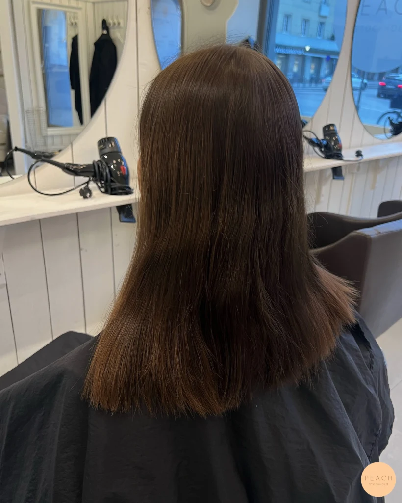 Brown hair with highlights