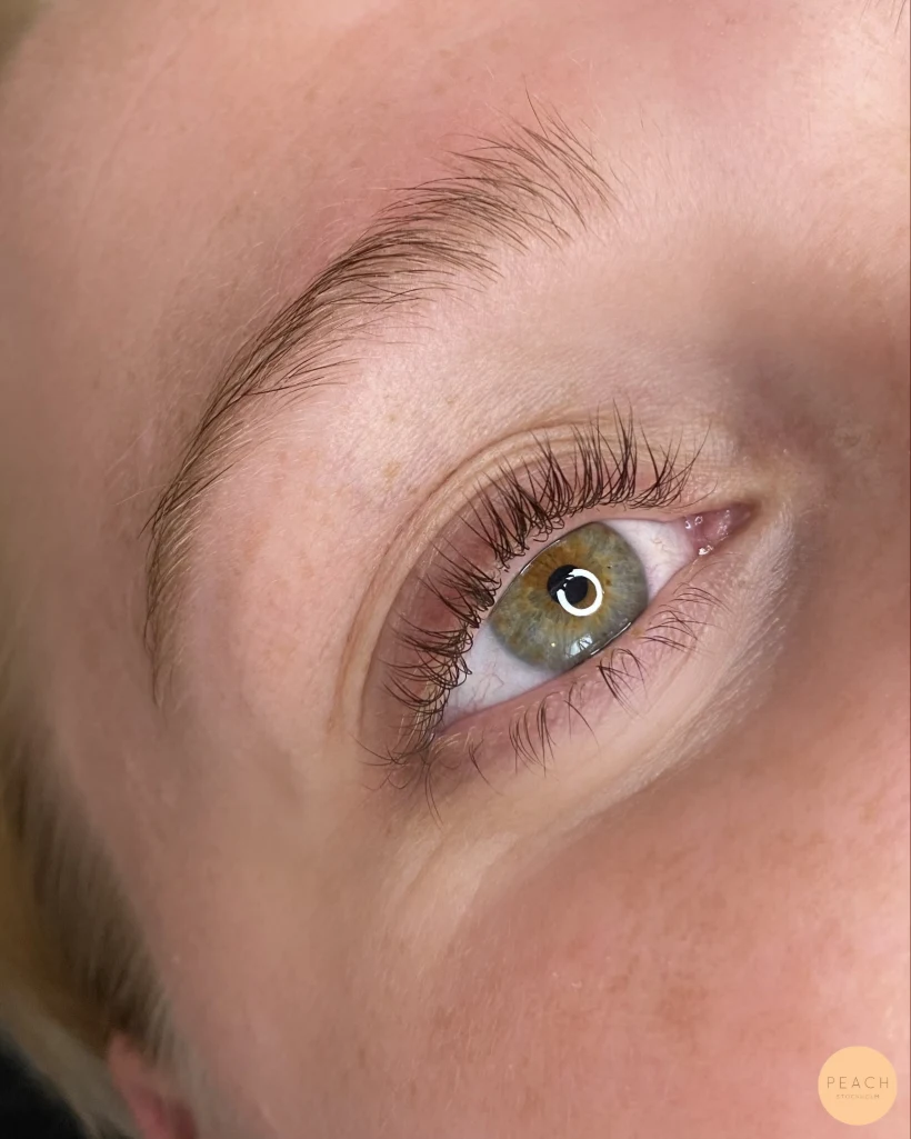 Yumi lashlift över och underfransar