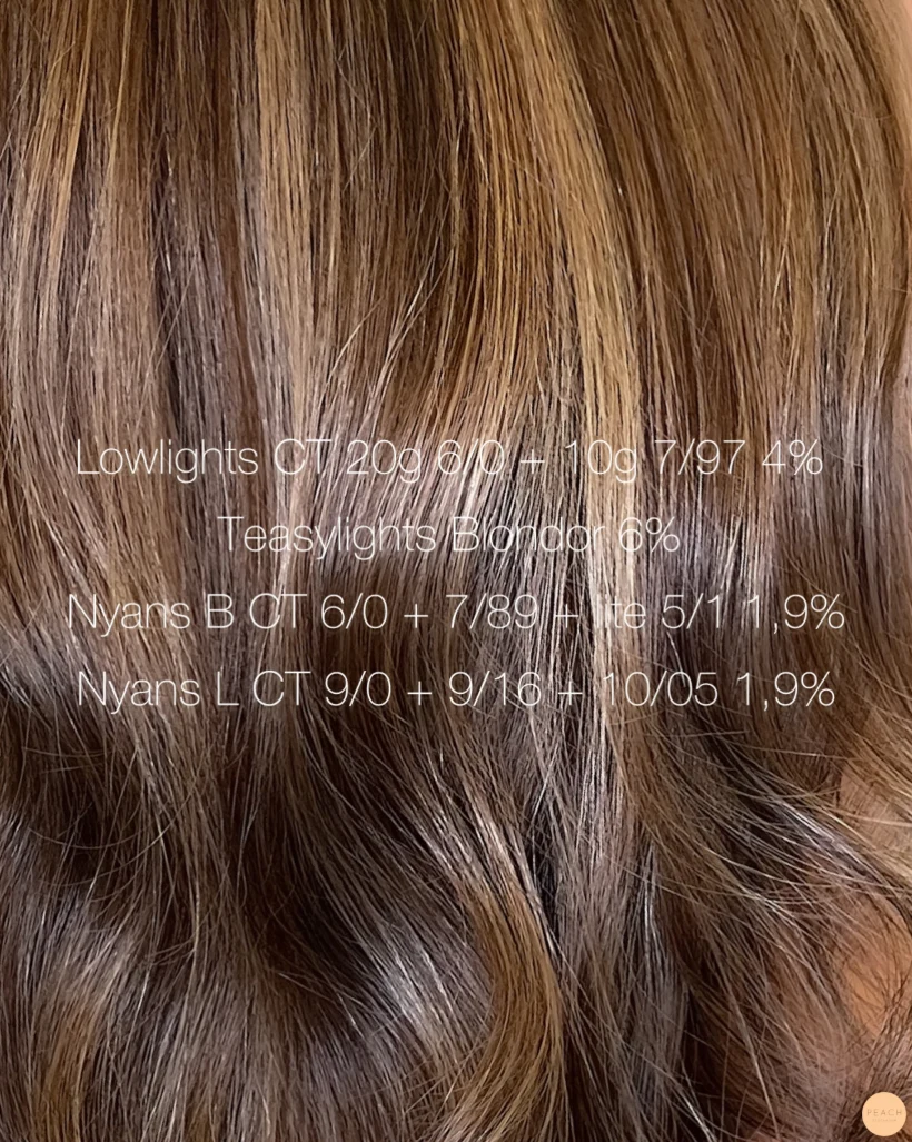 Teddy bear bronde hair