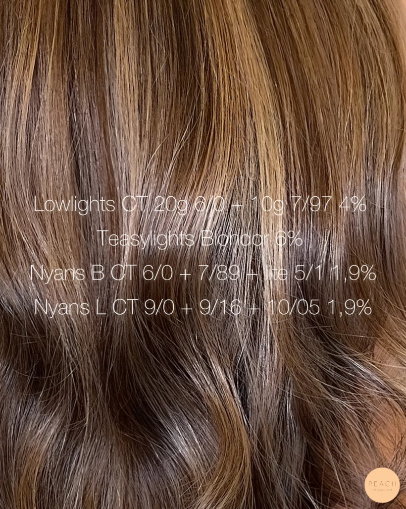 Teddy bear bronde hair