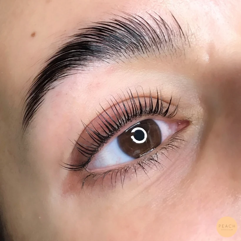 YUMI lashes & YUMI brows