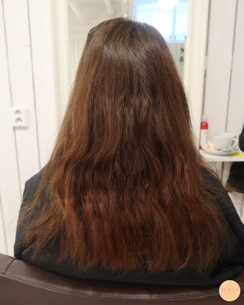 Hairtalk extensions balayage med ljusa slingor