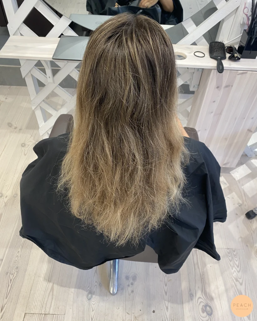 Bronde dream