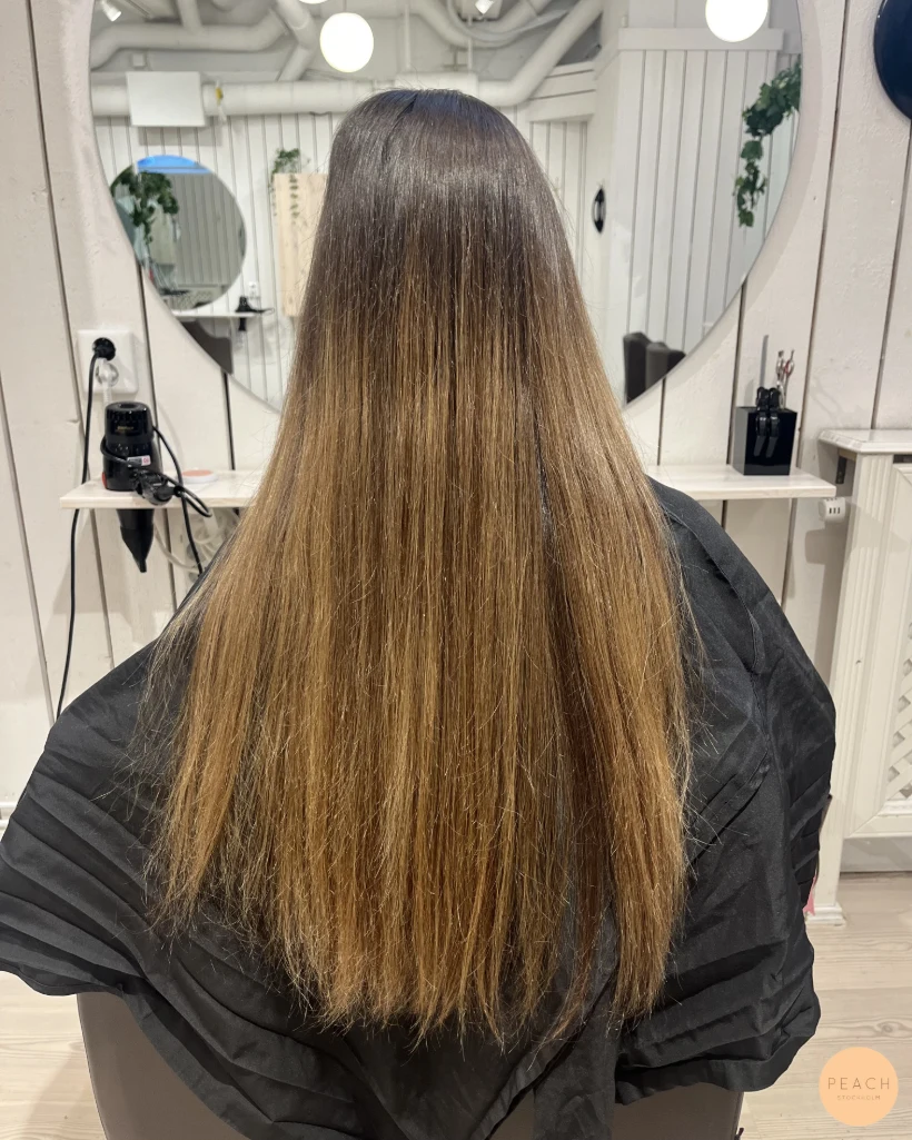Brown balayage – salongsresultat av Nathalie Hedqvist, 18 juni 2024