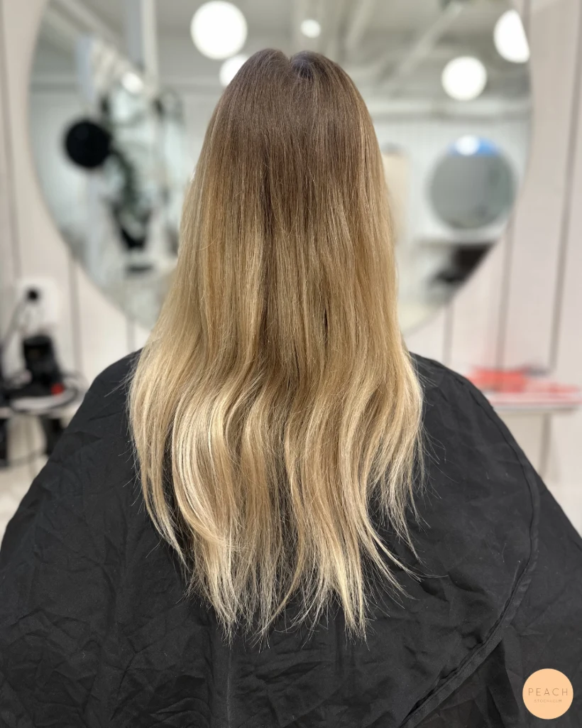 Bronde – salongsresultat av Felicia Mankinen, 31 augusti 2023