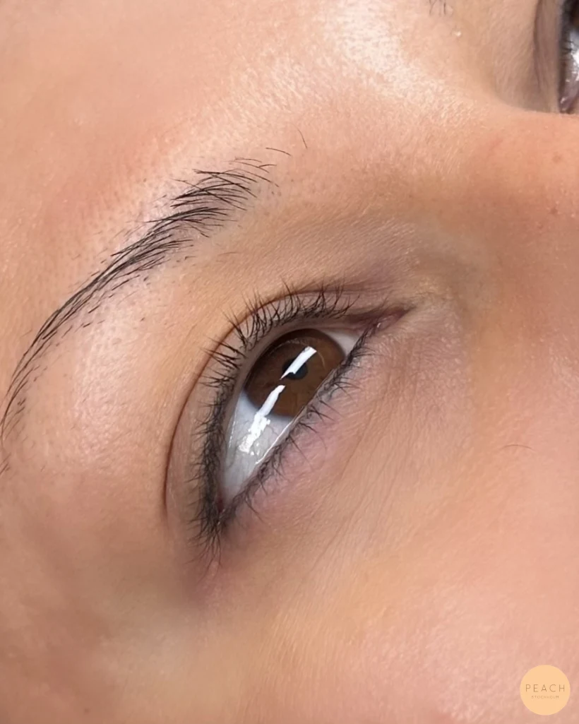 Lash lift naturligt svepande fransar