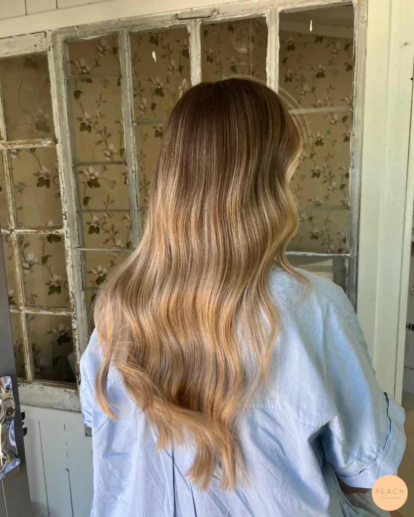 Natural balayage hair color 🦋✨