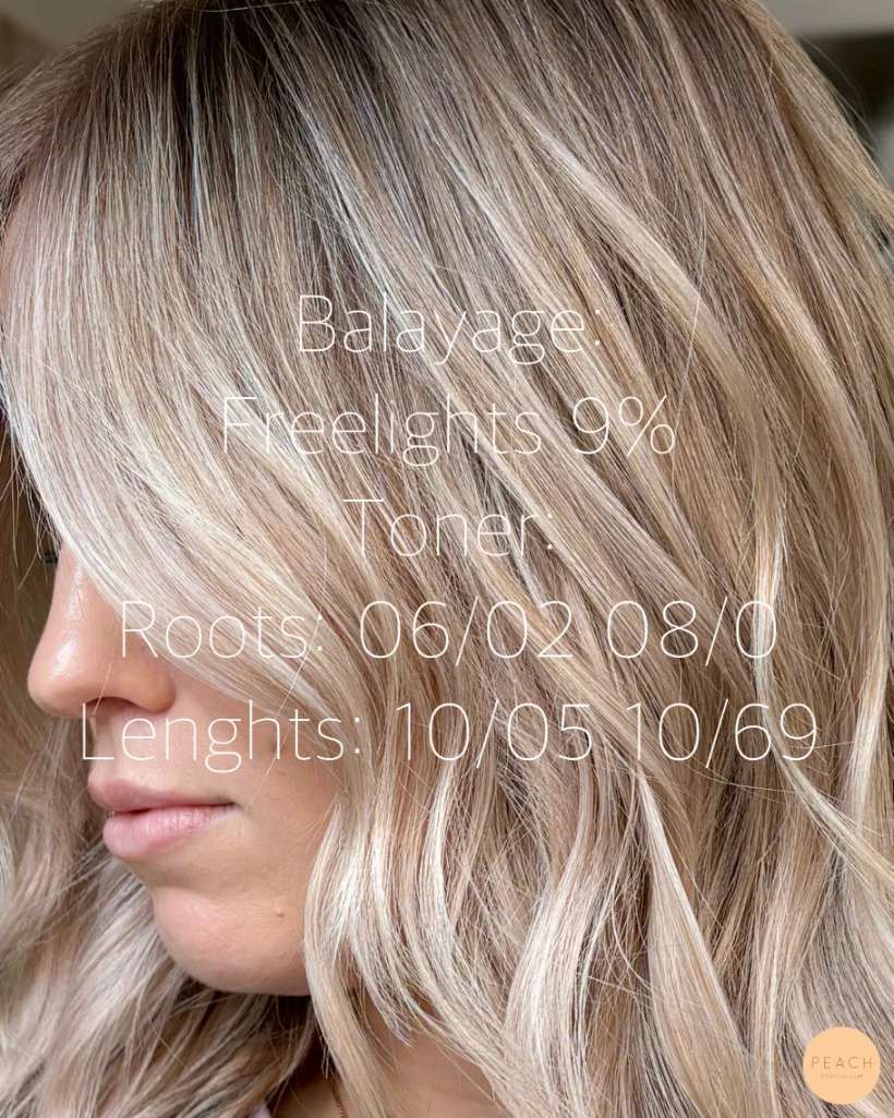 Balayage – salongsresultat av Jonathan Hultman, 12 november 2024