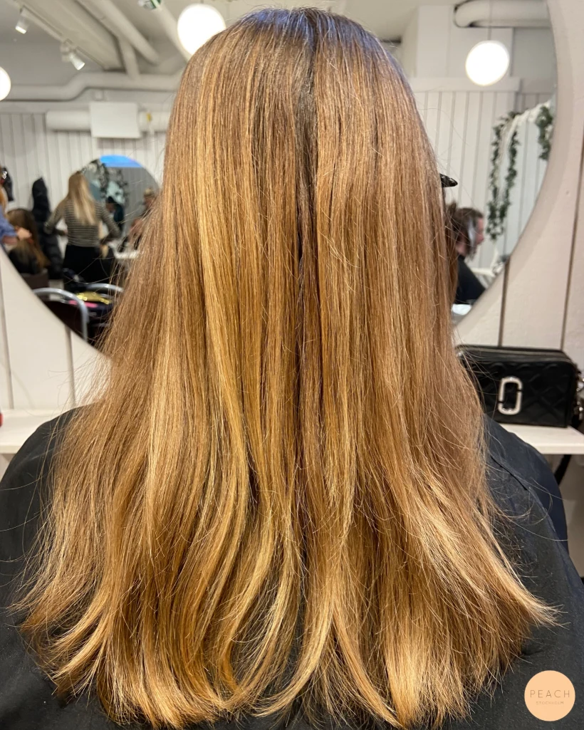 Bronde hårfärg med beige toner