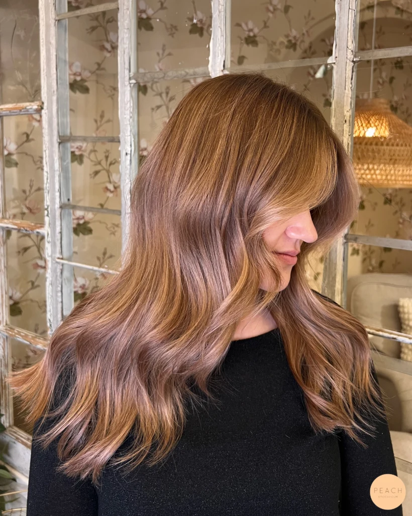 Teddy bear bronde hair color 🤎